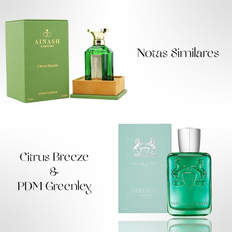 Citrus Breeze by Ainash